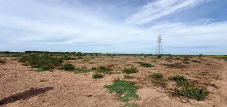 En Venta excelente Predio Agrícola, Ejido Mochis.